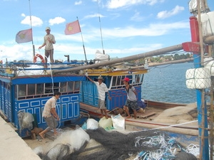 Vẫn kiên cường bám biển khi Tết đến xuân về